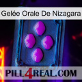 Gelée Orale De Nizagara 04